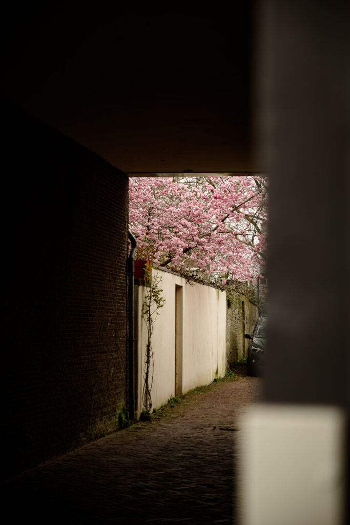 bezienswaardigheden-in-gouda-hofjes-en-steegjes