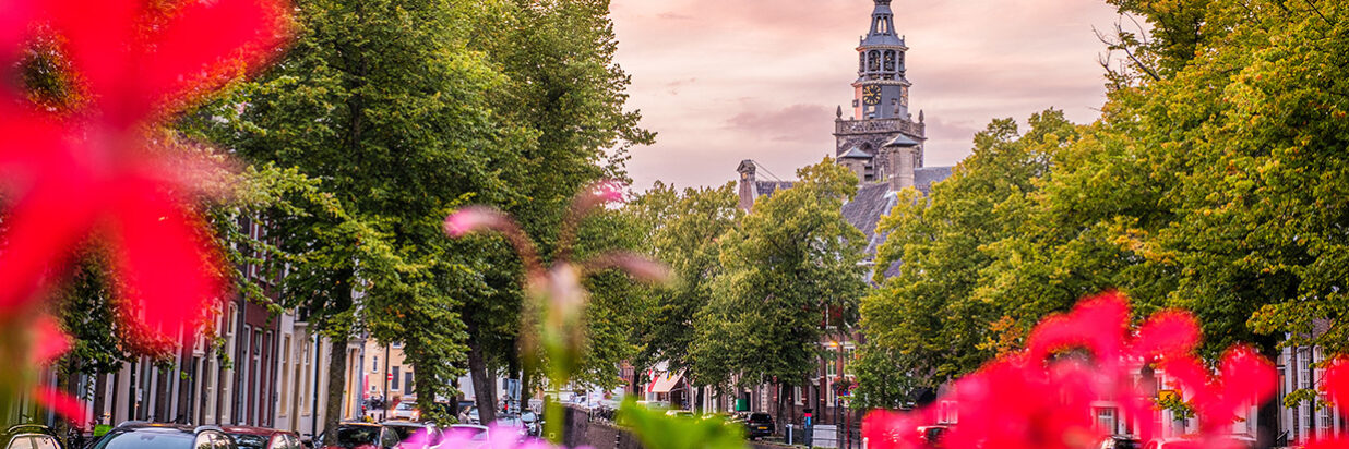 stadswandeling-gouda-vroege-voorjaar